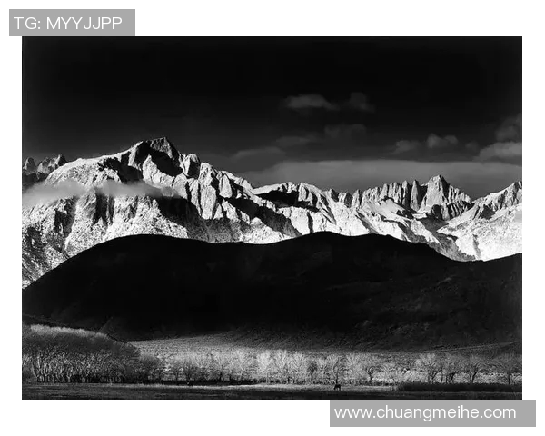 亚当斯的传奇人生与影响力探讨:从个人成就到社会贡献的全面分析
